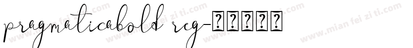 pragmaticabold reg字体转换